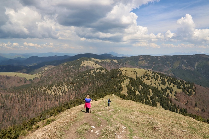 Slovensko 2024